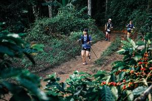 BIB: 
                            <button type="button" onclick="openModal(25832919)" class="btn btn-primary btn-sm float-right btn-popup" data-toggle="modal" data-target=".modal-high-quality">
                        <i class="fas fa-shopping-cart"></i> Add to Cart
                    </button>
                                            <button type="button" onclick="isThisMe(25832919, true)" class="btn btn-success btn-sm float-right btn-popup btn-isme hidden" data-toggle="tooltip" data-placement="bottom" title="นี่คือรูปของคุณใช่ไหม คลิกที่นี่เพื่อเอาเข้าอัลบั้ม">
                        <i class="fas fa-plus"></i> Add to album
                    </button>
                    <button type="button" onclick="isThisMe(25832919, false)" class="btn btn-warning btn-sm float-right btn-popup btn-isnotme hidden">
                        <i class="fas fa-ban"></i> Remove from album
                    </button>